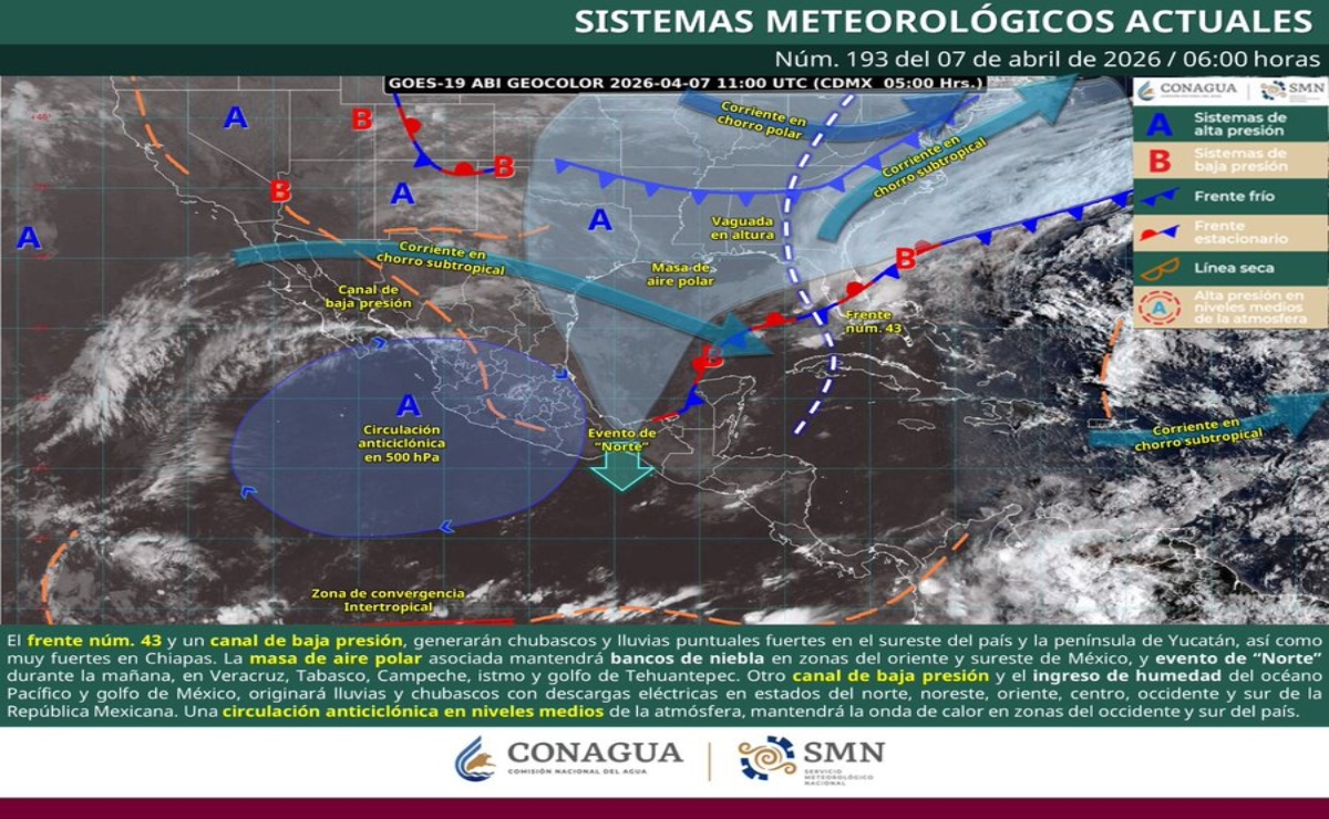 Frente Número 43 Llega a Quintana Roo