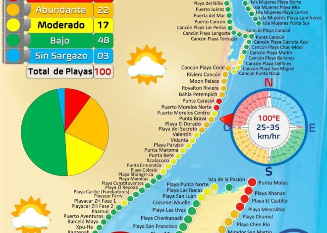 ALREDEDOR DEL 30% DE 140 PLAYAS DE QUINTANA ROO PRESENTAN SARGAZO ABUNDANTE