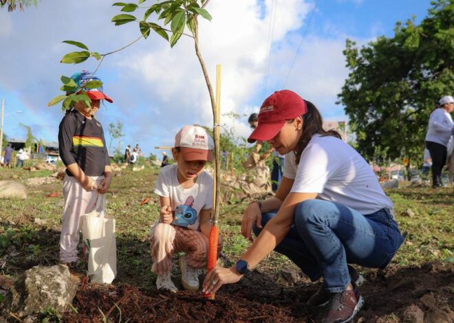Cancún es reconocida como “Ciudad Árbol del Mundo 2025”