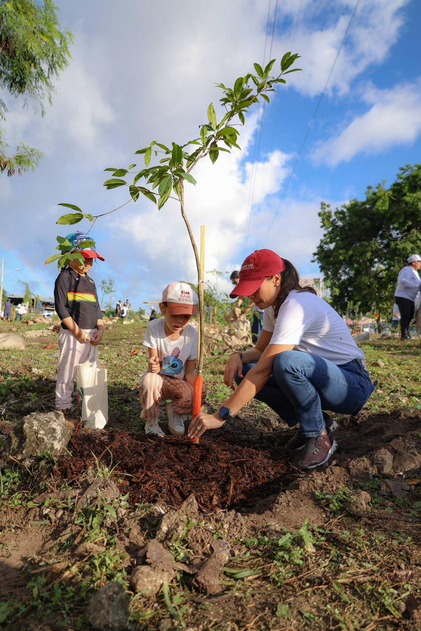 Cancún es reconocida como “Ciudad Árbol del Mundo 2025”