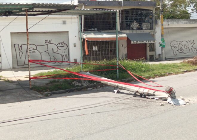 Vecinos De La SM 98 Reportan Poste Caído En Avenida Chichén Itzá