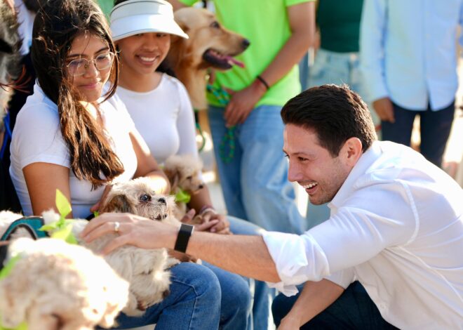 Aprueba Congreso iniciativa de Renán Sánchez Tajonar y el Partido Verde para fortalecer clínicas veterinarias públicas en Quintana Roo