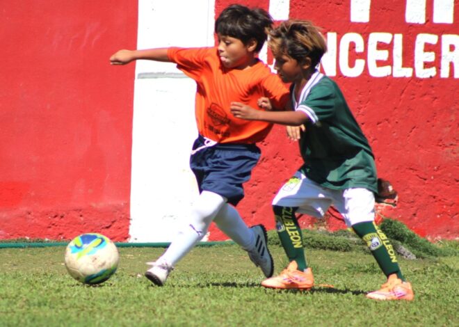 Arranca en Cancún la Copa Infantil y Juvenil “Pioneros 2026”