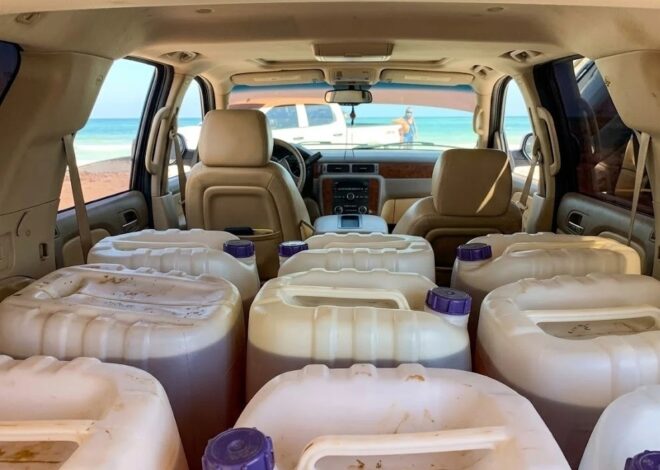 Incautan más de 551 kilos de cocaína tras interceptar avioneta en Belice; hay cuatro detenidos