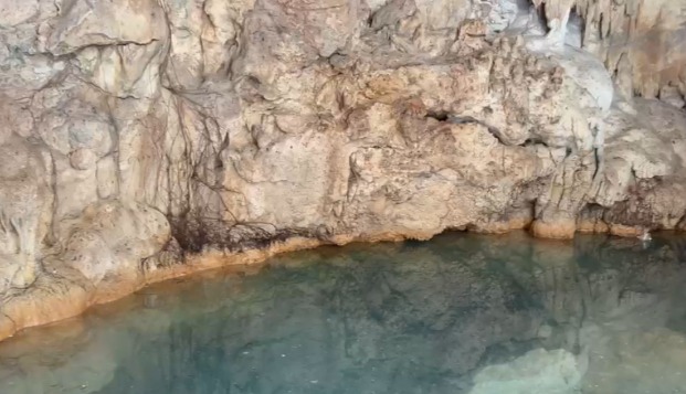 Playa del Carmen: Habitantes de comunidades vecinas alertan por riesgo de contaminación en cenotes