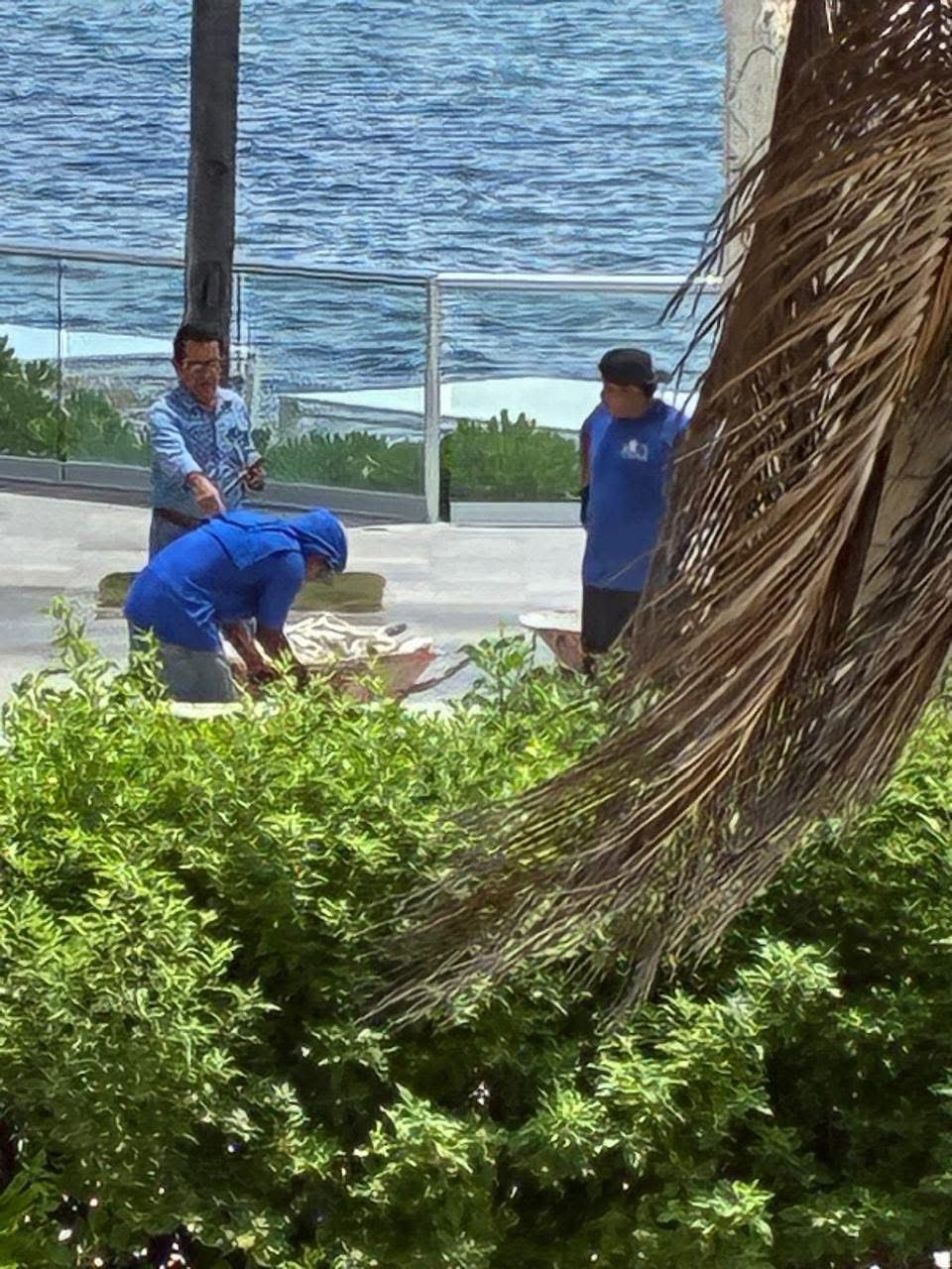 Clausuran demolición ilegal en Oasis Akumal tras denuncias vecinales