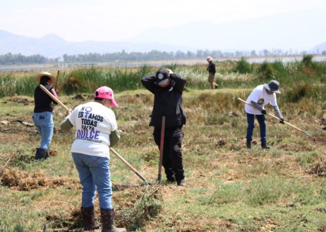 Hallan 53 indicios forenses en lagos de Tláhuac y Chalco