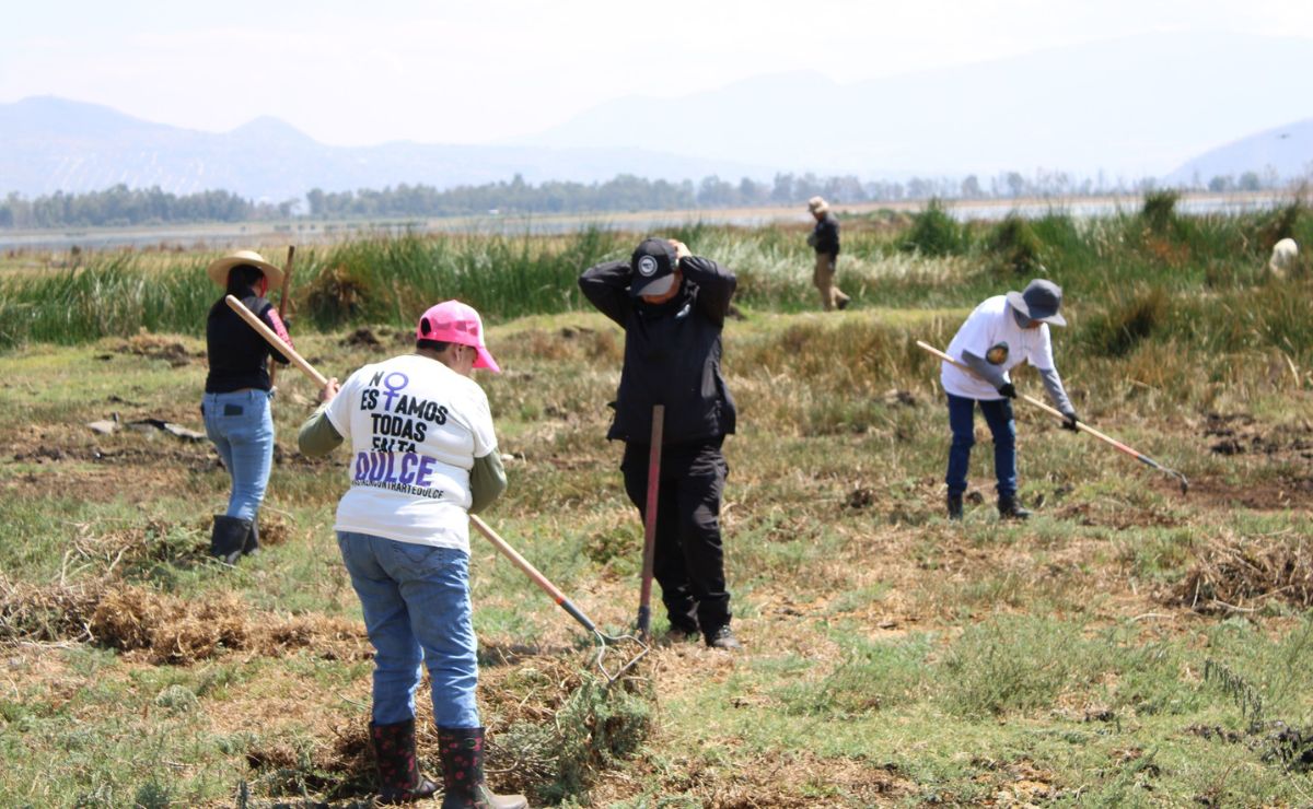 Hallan 53 indicios forenses en lagos de Tláhuac y Chalco