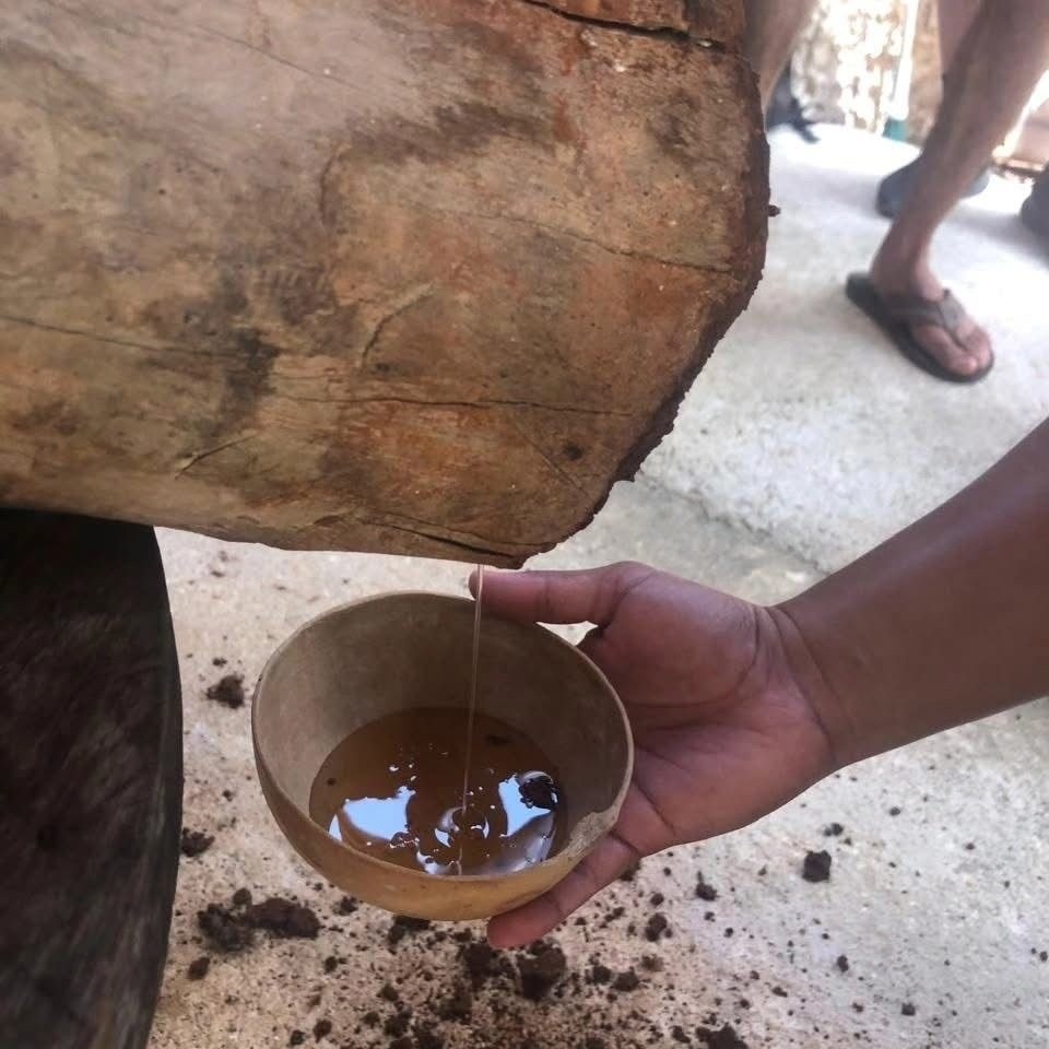 Quintana Roo protege oficialmente la miel melipona maya con Indicación Geográfica
