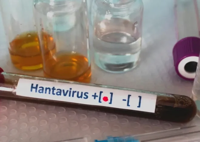 Mensaje de la OMS a la población de Tenerife sobre hantavirus