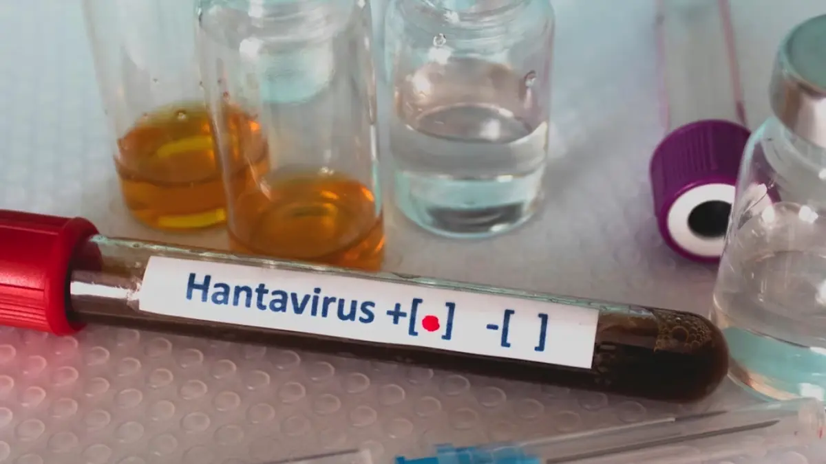 Mensaje de la OMS a la población de Tenerife sobre hantavirus