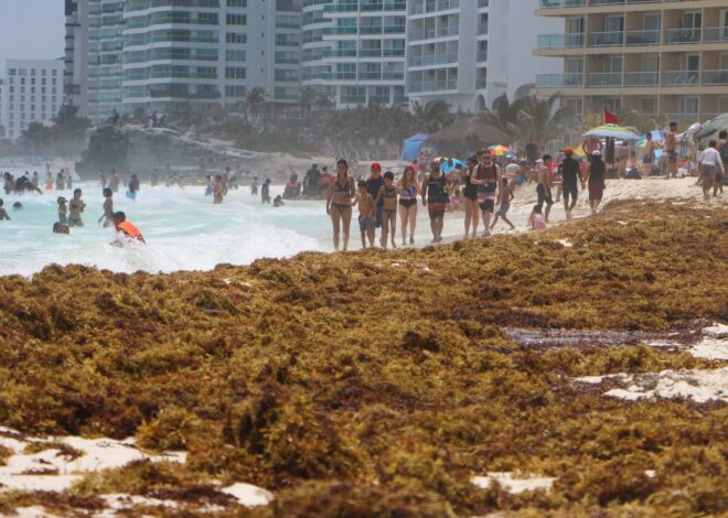 Hoteleros descartan cancelaciones por sargazo en Quintana Roo pese a afectación en playas