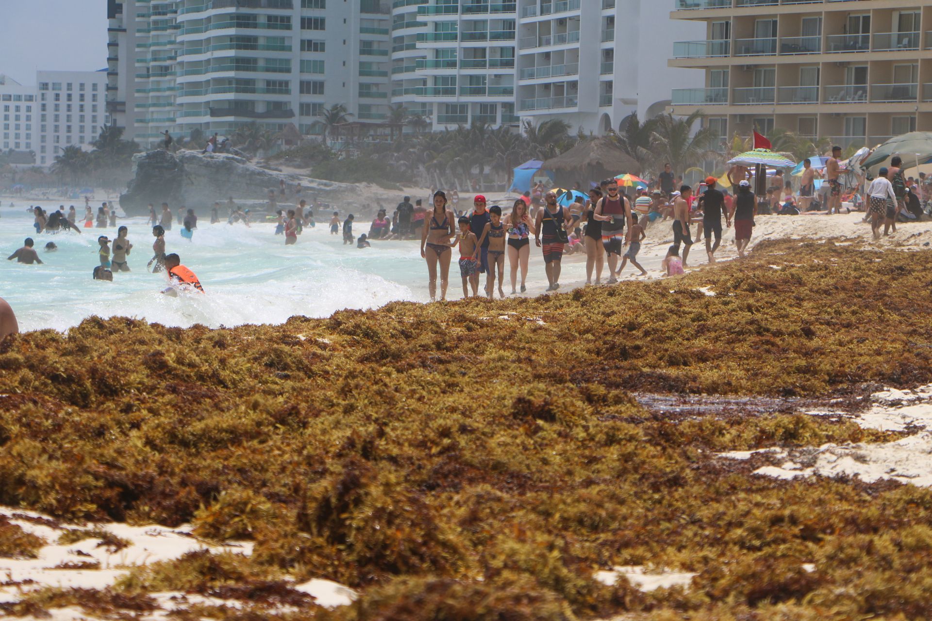 Hoteleros descartan cancelaciones por sargazo en Quintana Roo pese a afectación en playas