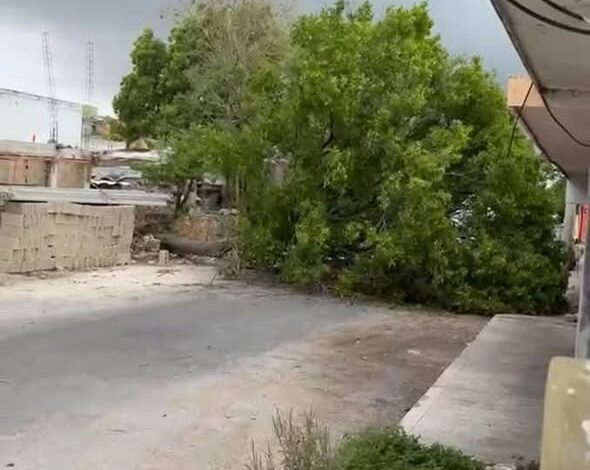 Fuerte turbonada golpea Yucatán: apagones, árboles caídos y calles inundadas