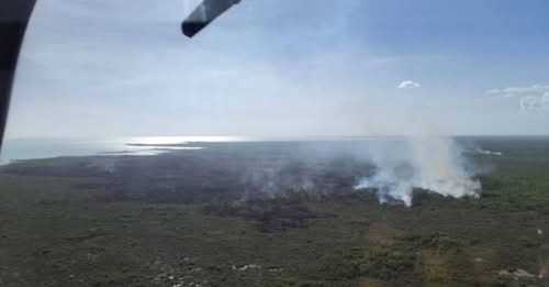 Controlan al 50% incendio forestal en el Santuario del Manatí de Chetumal