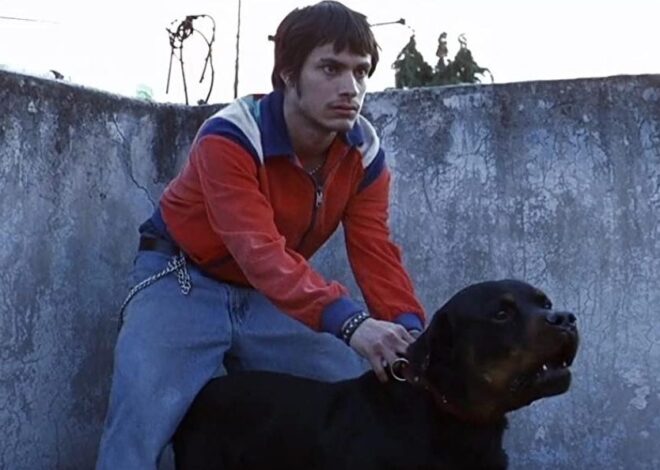 ‘Amores Perros’ llegará a la televisión como serie