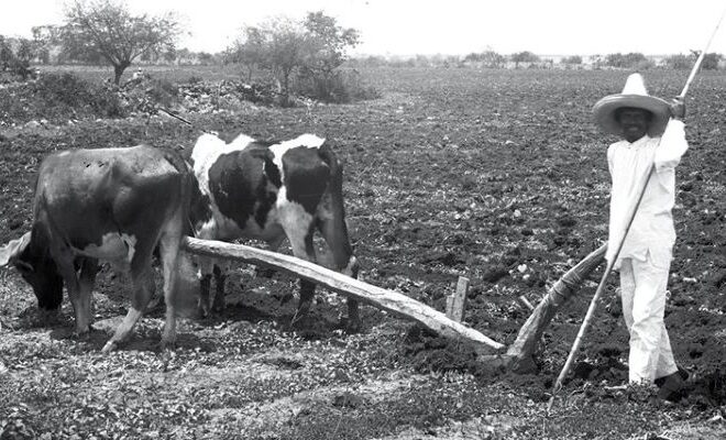 Hoy se conmemora el 111 Aniversario de la Ley Agraria