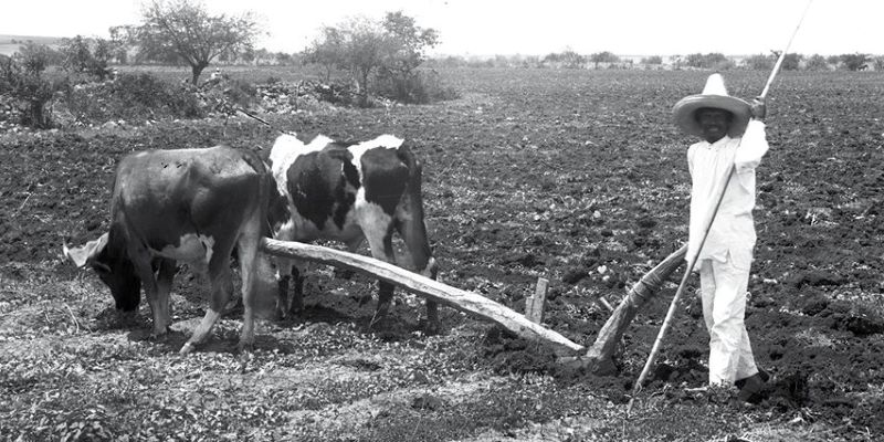 Hoy se conmemora el 111 Aniversario de la Ley Agraria