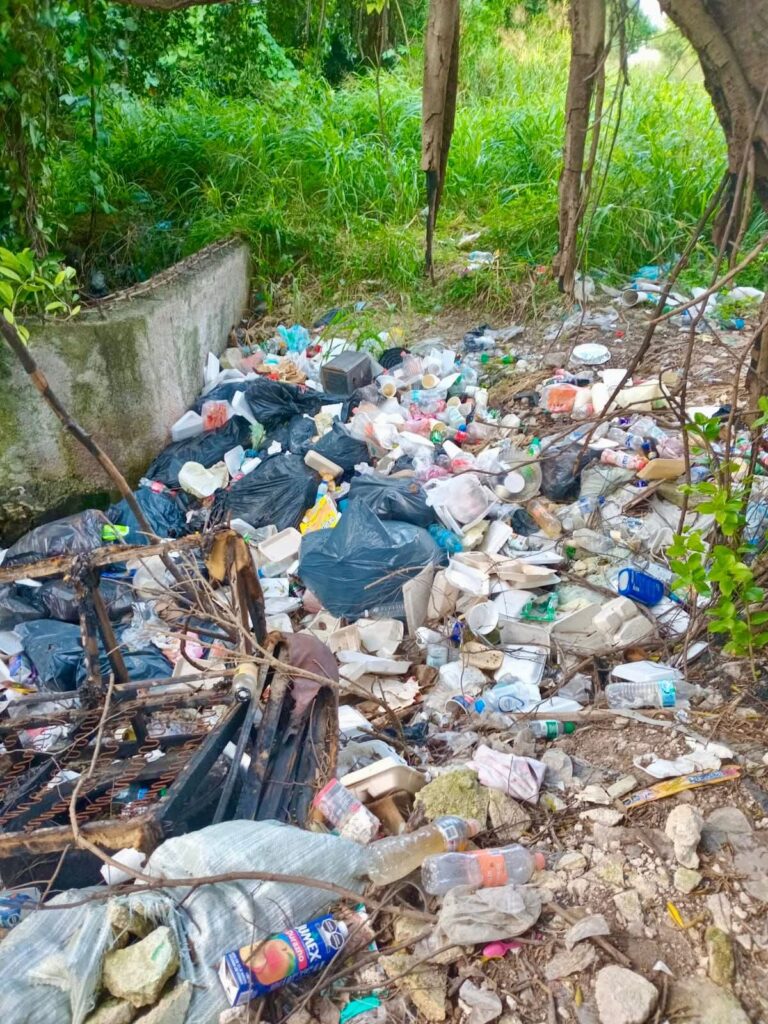 Imponen multas de hasta 2 millones de pesos por tirar basura y contaminar en Cancún