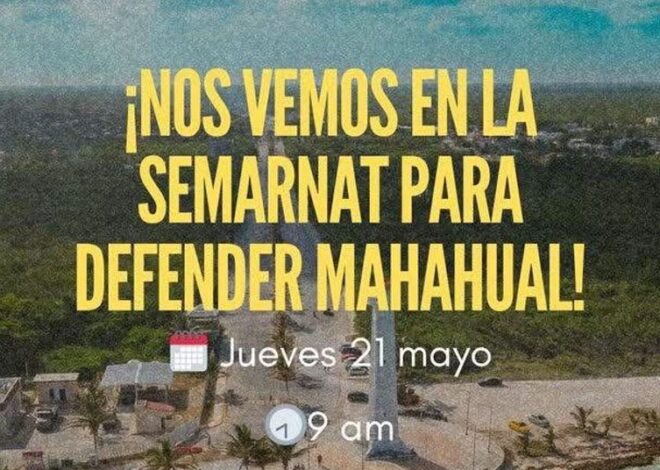 Greenpeace y SelvameMX convocan protesta contra proyecto “Perfect Day” en Mahahual en CDMX