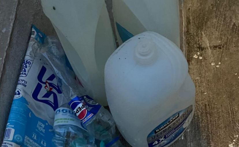 El 70 por ciento del PET que se genera en Quintana Roo y México, está en las calles