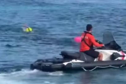 Del entusiasmo al nerviosismo: cocodrilo irrumpe en competencia en Cozumel