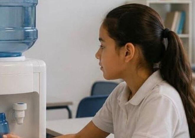 Red Feminista Quintana Roo exige agua y aire acondicionado en escuelas públicas ante altas temperaturas