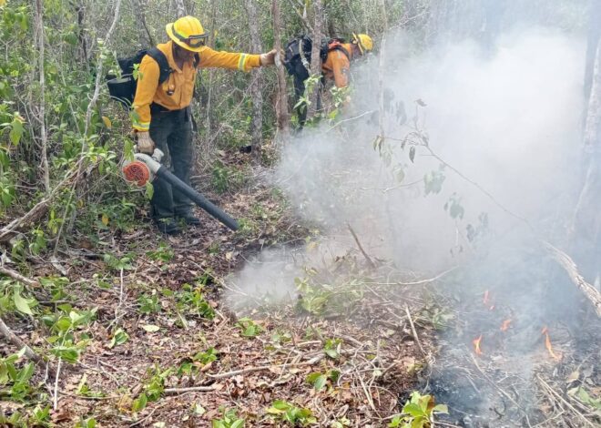 Avanza 80% el control del incendio forestal “Jas” en Xcalak