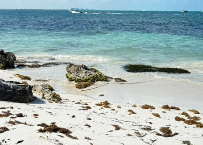 A días de la temporada de huracanes, hoteleros urgen recuperación de playas para evitar pérdidas millonarias