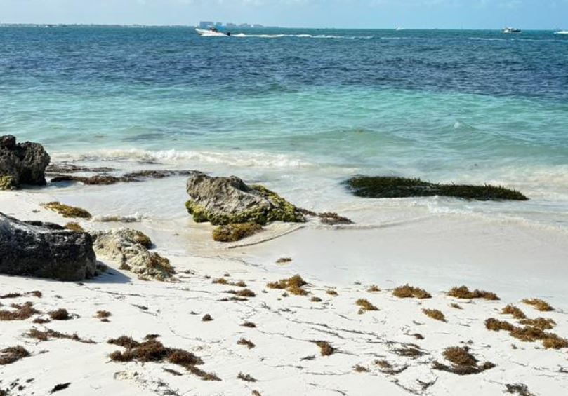 A días de la temporada de huracanes, hoteleros urgen recuperación de playas para evitar pérdidas millonarias