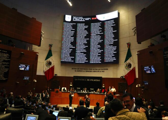 Senado avala anular elecciones por intervención extranjera