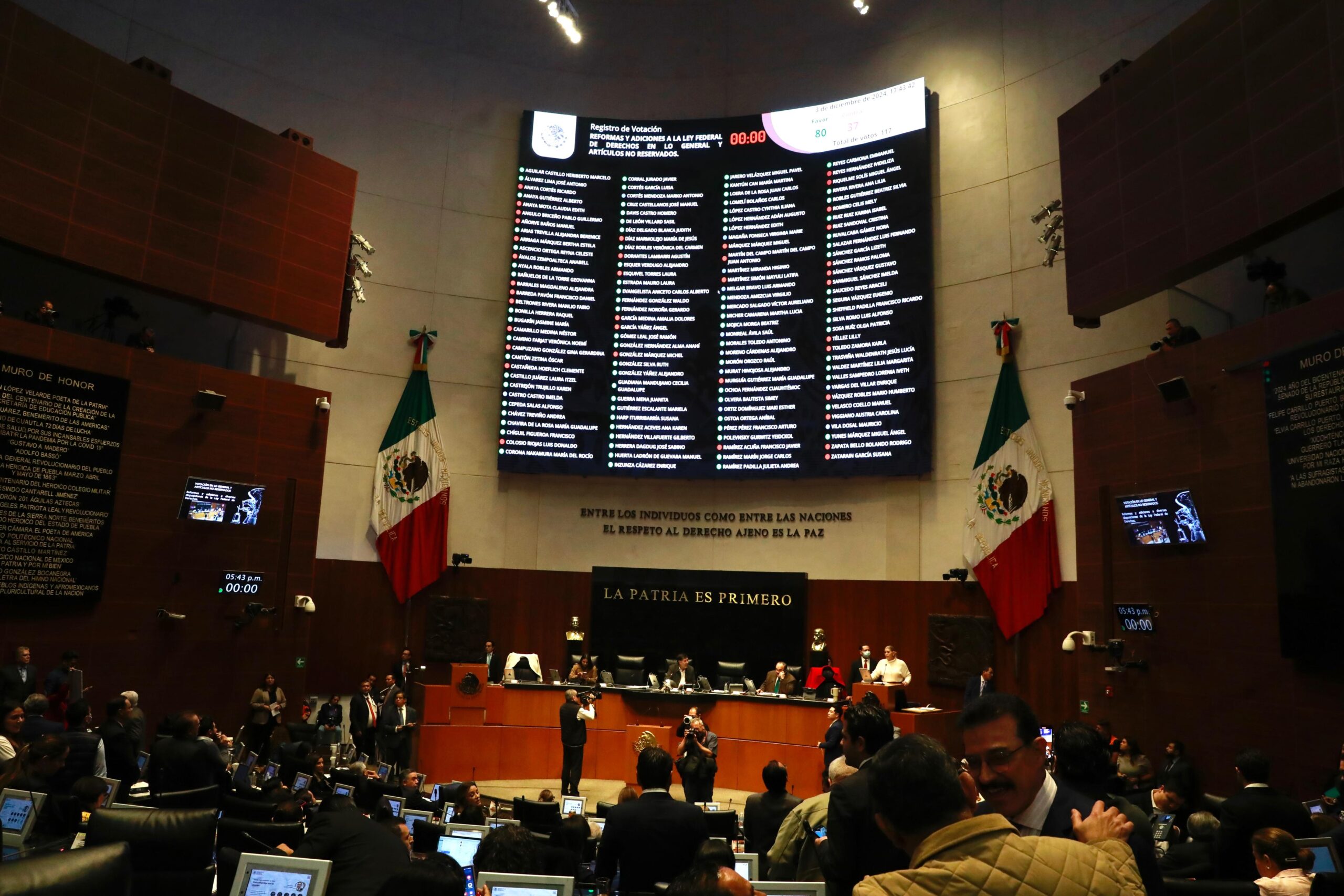 Senado avala anular elecciones por intervención extranjera