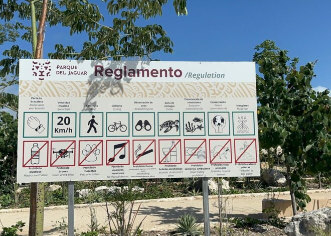 Empresarios y comerciantes cuestionan modelo de acceso en el Parque Nacional Tulum