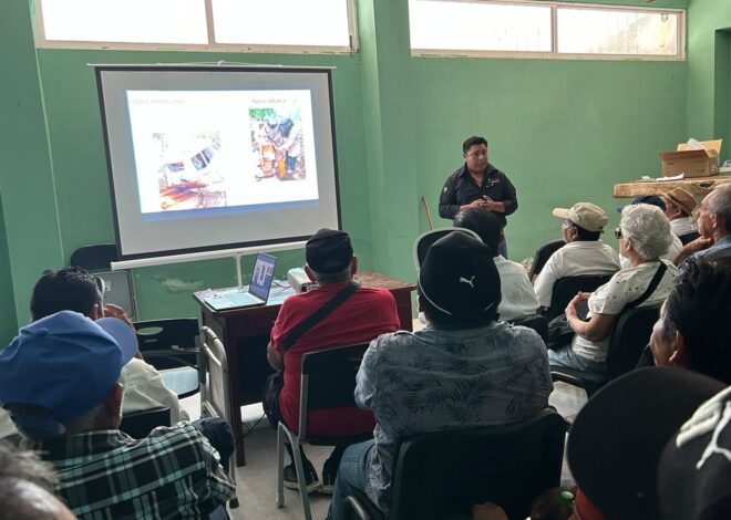 Detectan virus en apiarios de Lázaro Cárdenas y refuerzan medidas sanitarias