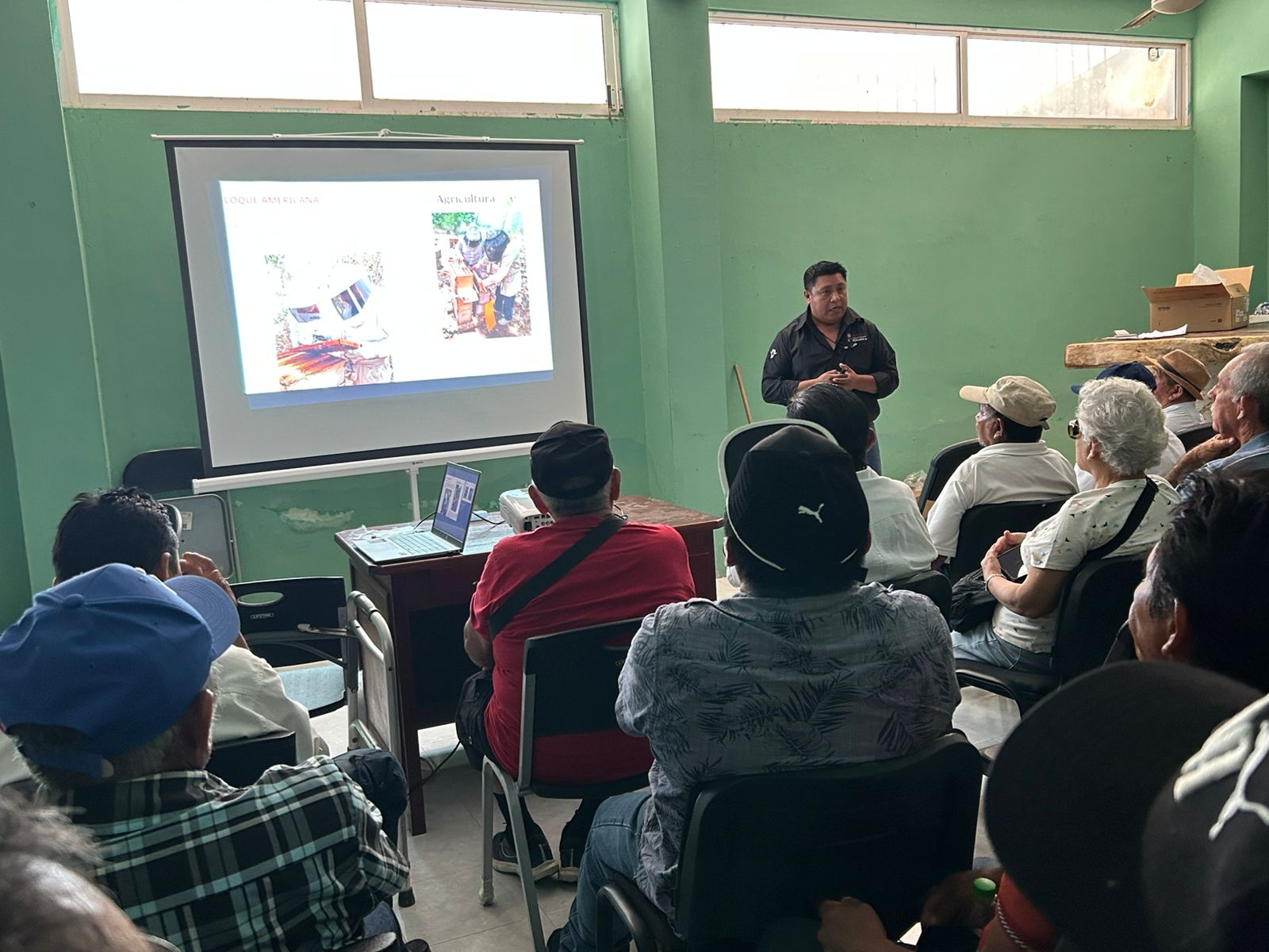 Detectan virus en apiarios de Lázaro Cárdenas y refuerzan medidas sanitarias