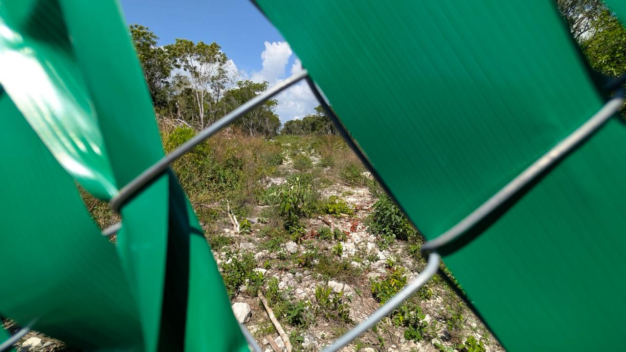 Ambientalistas promueven amparo contra nuevos desmontes ligados al “Libramiento Tulum”
