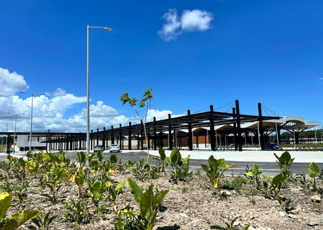 El Tren Maya no se encarrila en Tulum; críticas en aumento