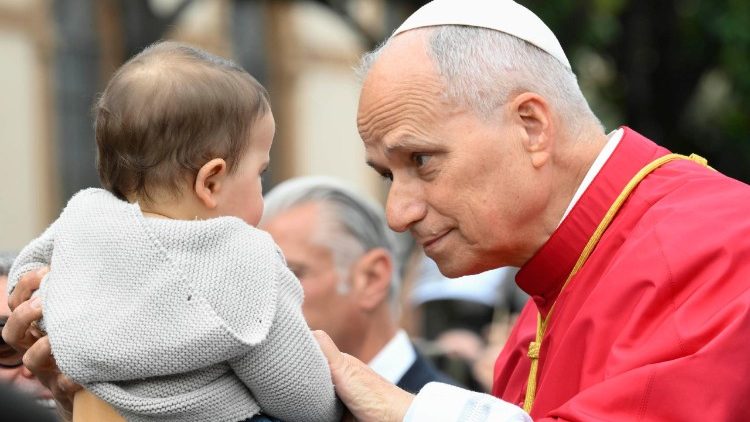 Primer año del Papa León XIV