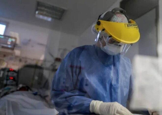Israel confirma primer contagio de hantavirus importado de Europa