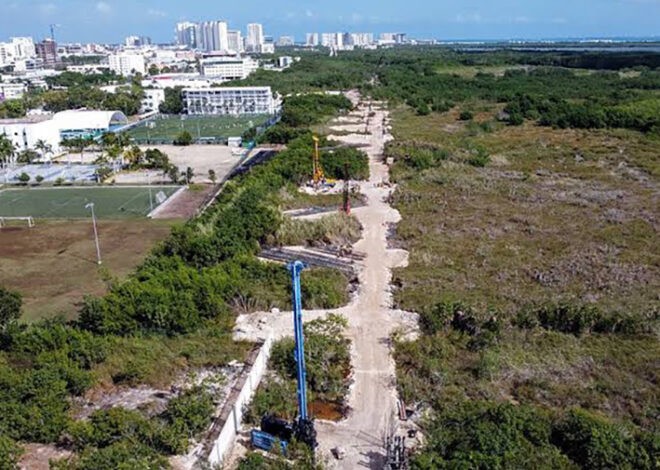 ¡Cuidado con los coyotes! Alertan por falsos gestores en Cancún