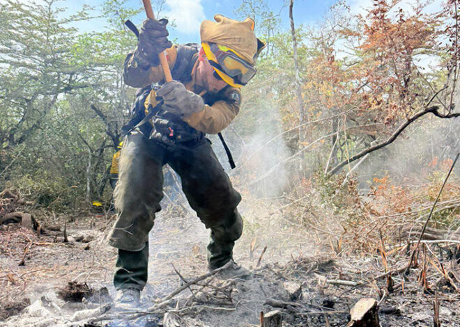 ¡Apagan el infierno verde! Liquidan incendio “JAS” en Quintana Roo