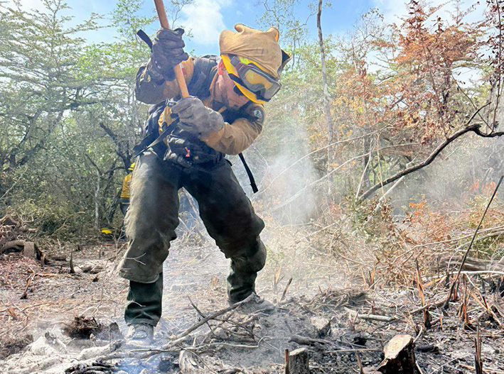 ¡Apagan el infierno verde! Liquidan incendio “JAS” en Quintana Roo
