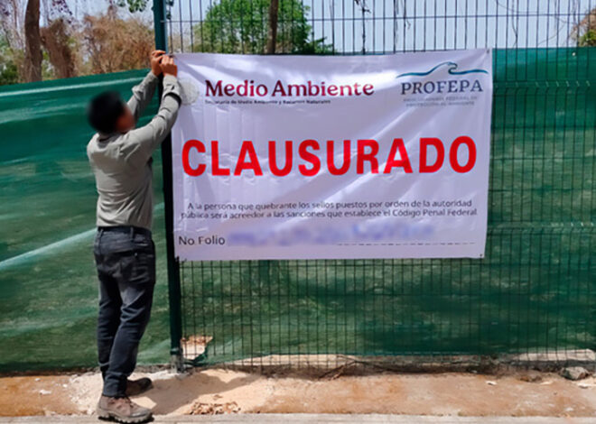 Profepa endurece castigos contra ecocidas en Quintana Roo