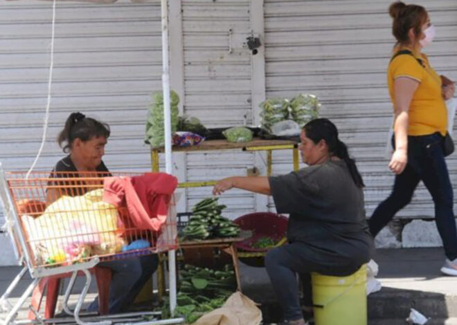 Micronegocios generan 43 mil chambas en Quintana Roo