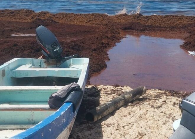 Playas en semáforo rojo por sargazo en Quintana Roo