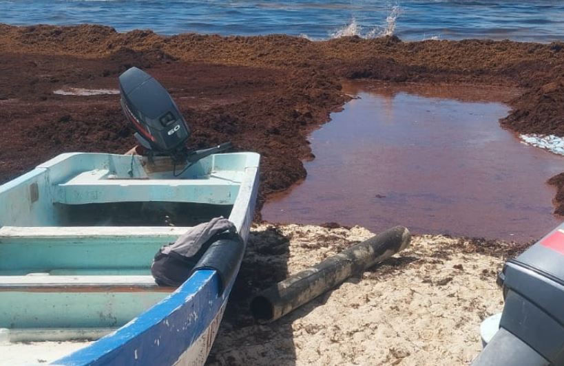 Playas en semáforo rojo por sargazo en Quintana Roo