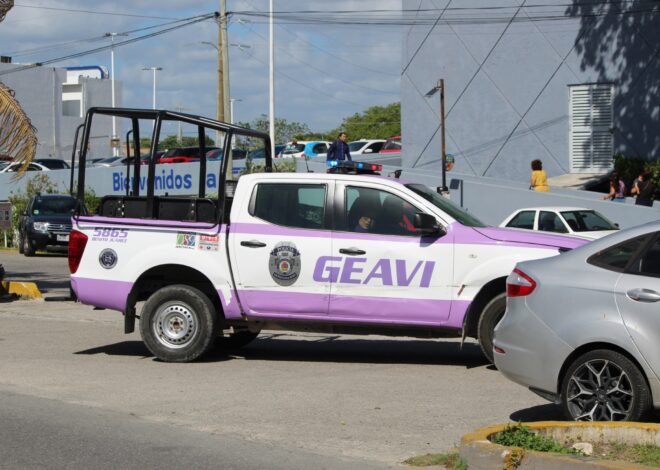 Violencia intrafamiliar: el delito que más atiende el DIF en Quintana Roo