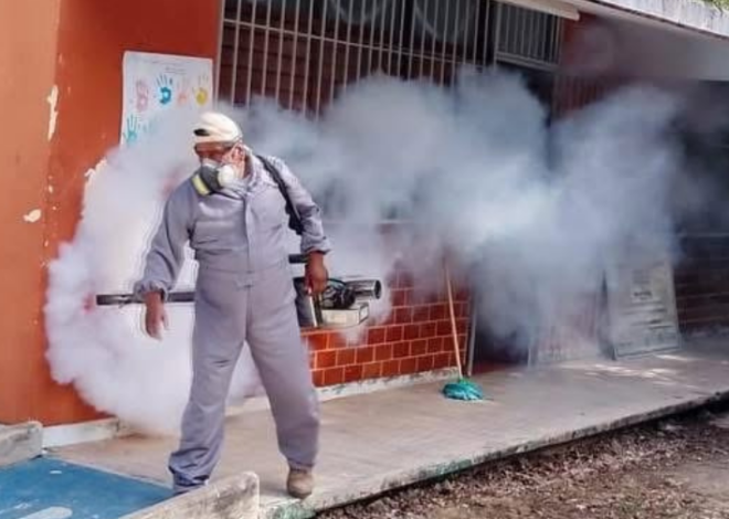 Exhortan a eliminar criaderos por temporada de lluvias