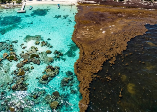 Alertan por el deterioro de los océanos y el aumento de fenómenos extremos