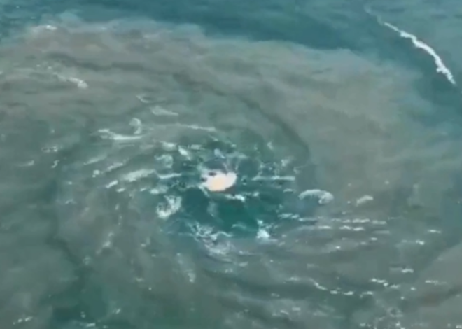 Impresionante vórtice marino es captado frente a Puerto Escondido